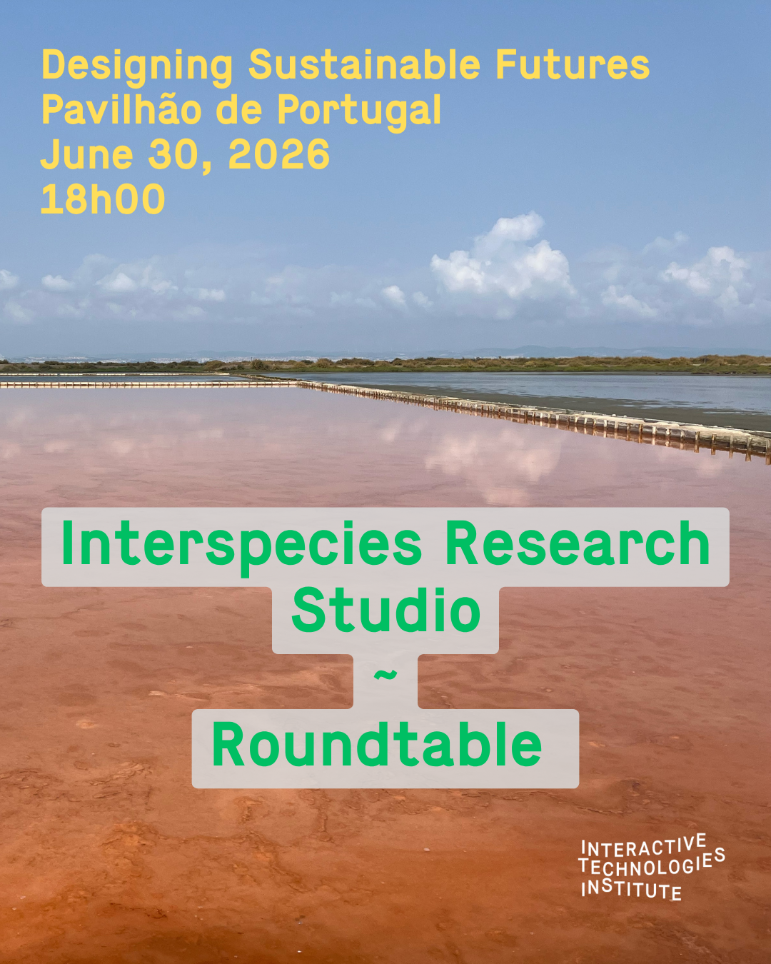 Interspecies Research Studio ~ Roundtable at Designing Sustainable Futures