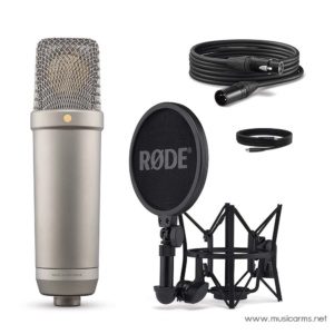 Studio condenser microphone